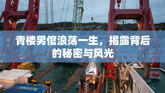 青楼男倌浪荡一生，揭露背后的秘密与风光
