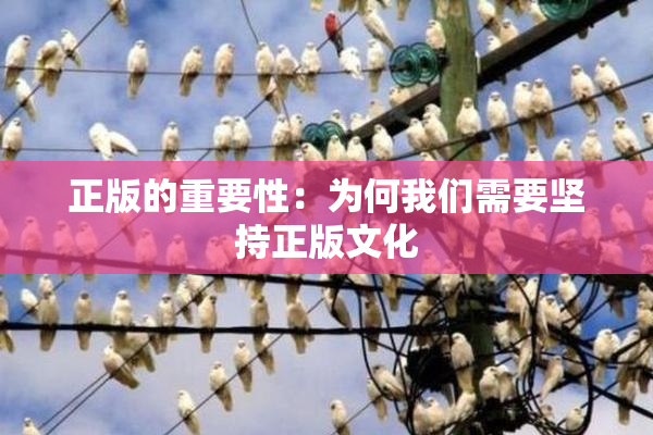 正版的重要性：为何我们需要坚持正版文化