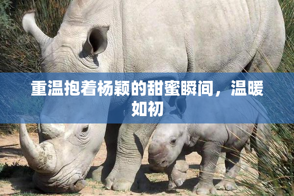 重温抱着杨颖的甜蜜瞬间，温暖如初