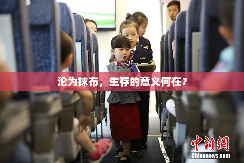 沦为抹布，生存的意义何在？