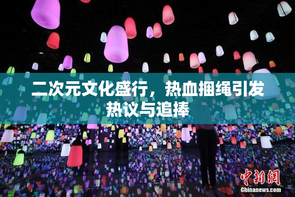 二次元文化盛行，热血捆绳引发热议与追捧