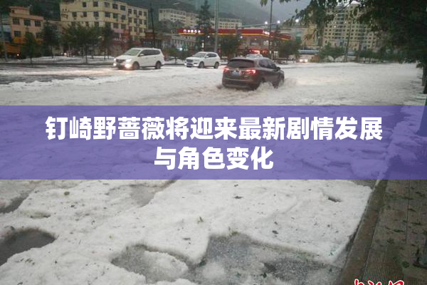 钉崎野蔷薇将迎来最新剧情发展与角色变化