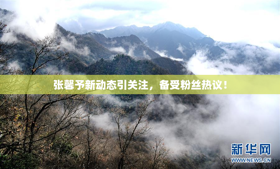 张馨予新动态引关注，备受粉丝热议！