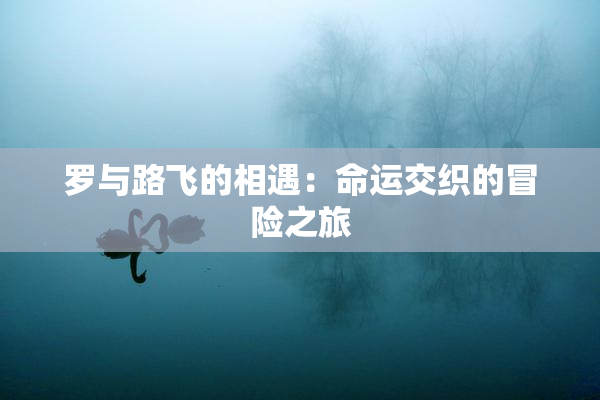 罗与路飞的相遇：命运交织的冒险之旅