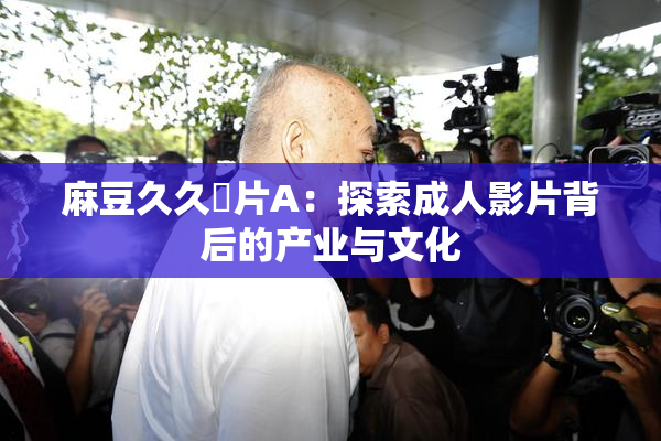 麻豆久久婬片A：探索成人影片背后的产业与文化