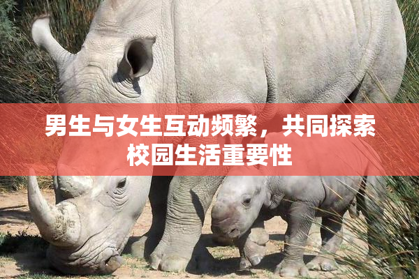 男生与女生互动频繁，共同探索校园生活重要性