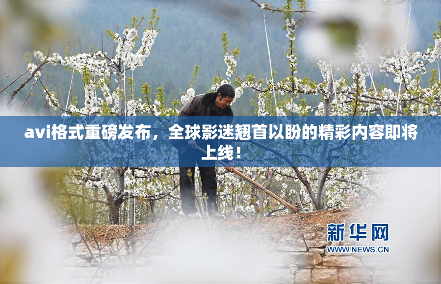avi格式重磅发布，全球影迷翘首以盼的精彩内容即将上线！