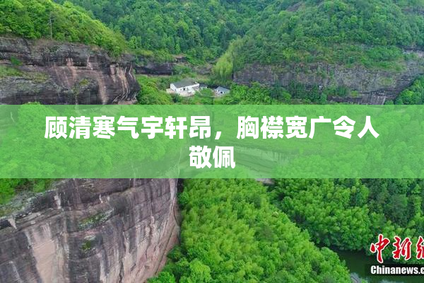 顾清寒气宇轩昂，胸襟宽广令人敬佩