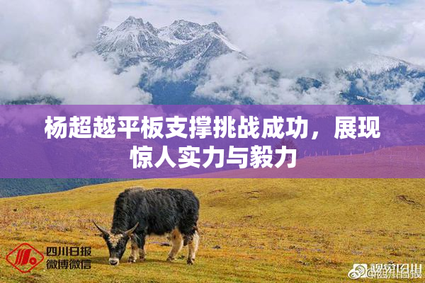 杨超越平板支撑挑战成功，展现惊人实力与毅力