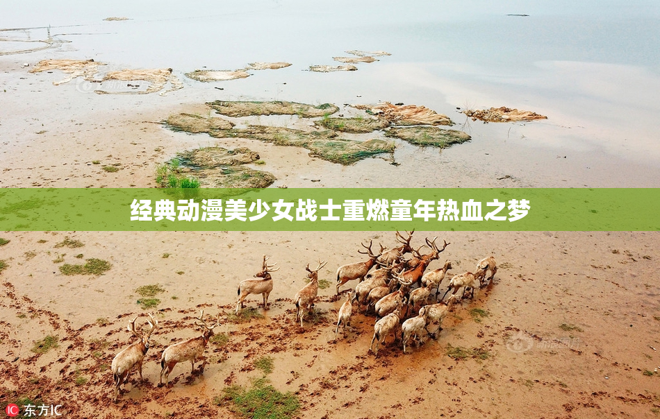 经典动漫美少女战士重燃童年热血之梦