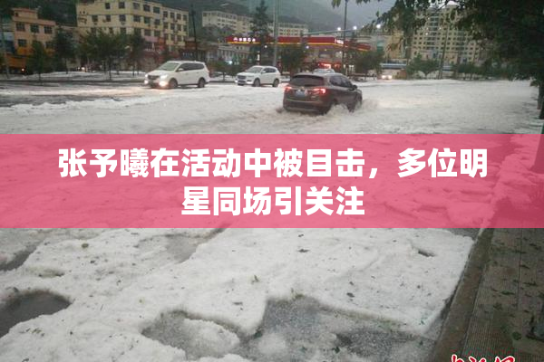 张予曦在活动中被目击，多位明星同场引关注