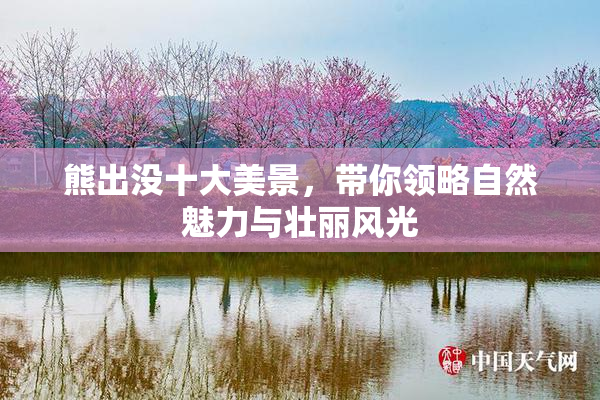 熊出没十大美景，带你领略自然魅力与壮丽风光