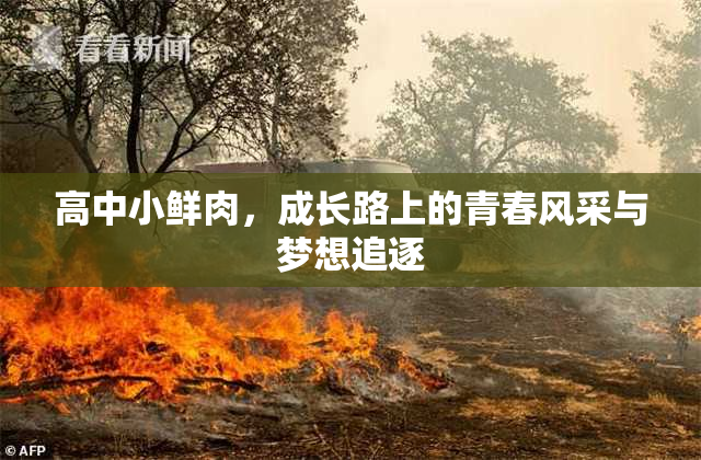 高中小鲜肉，成长路上的青春风采与梦想追逐