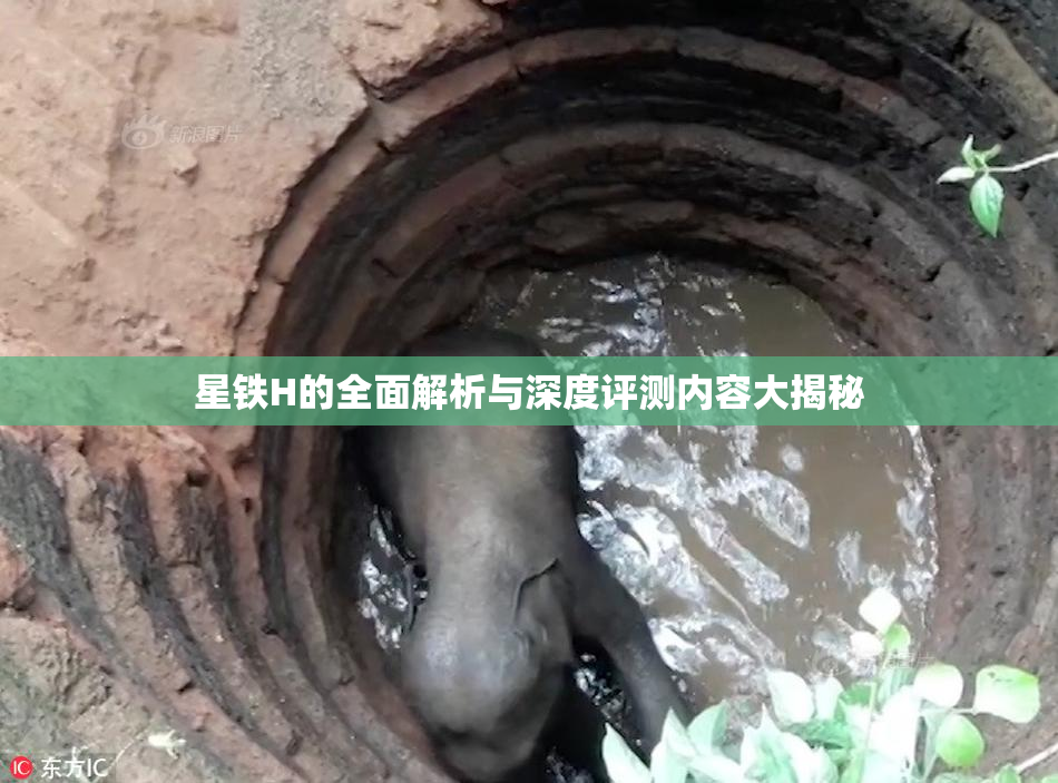 星铁H的全面解析与深度评测内容大揭秘