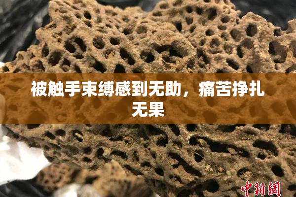 被触手束缚感到无助，痛苦挣扎无果
