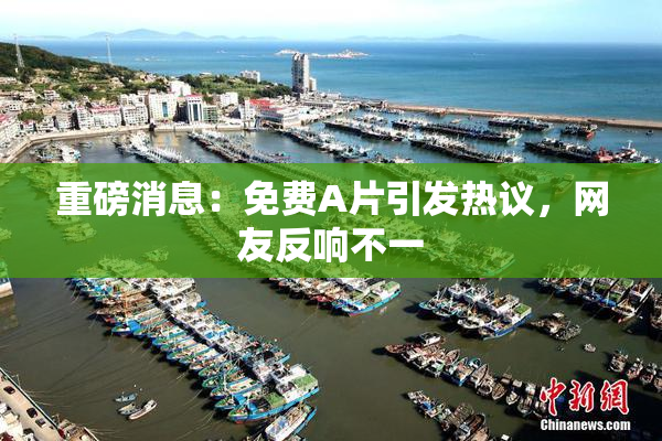 重磅消息：免费A片引发热议，网友反响不一