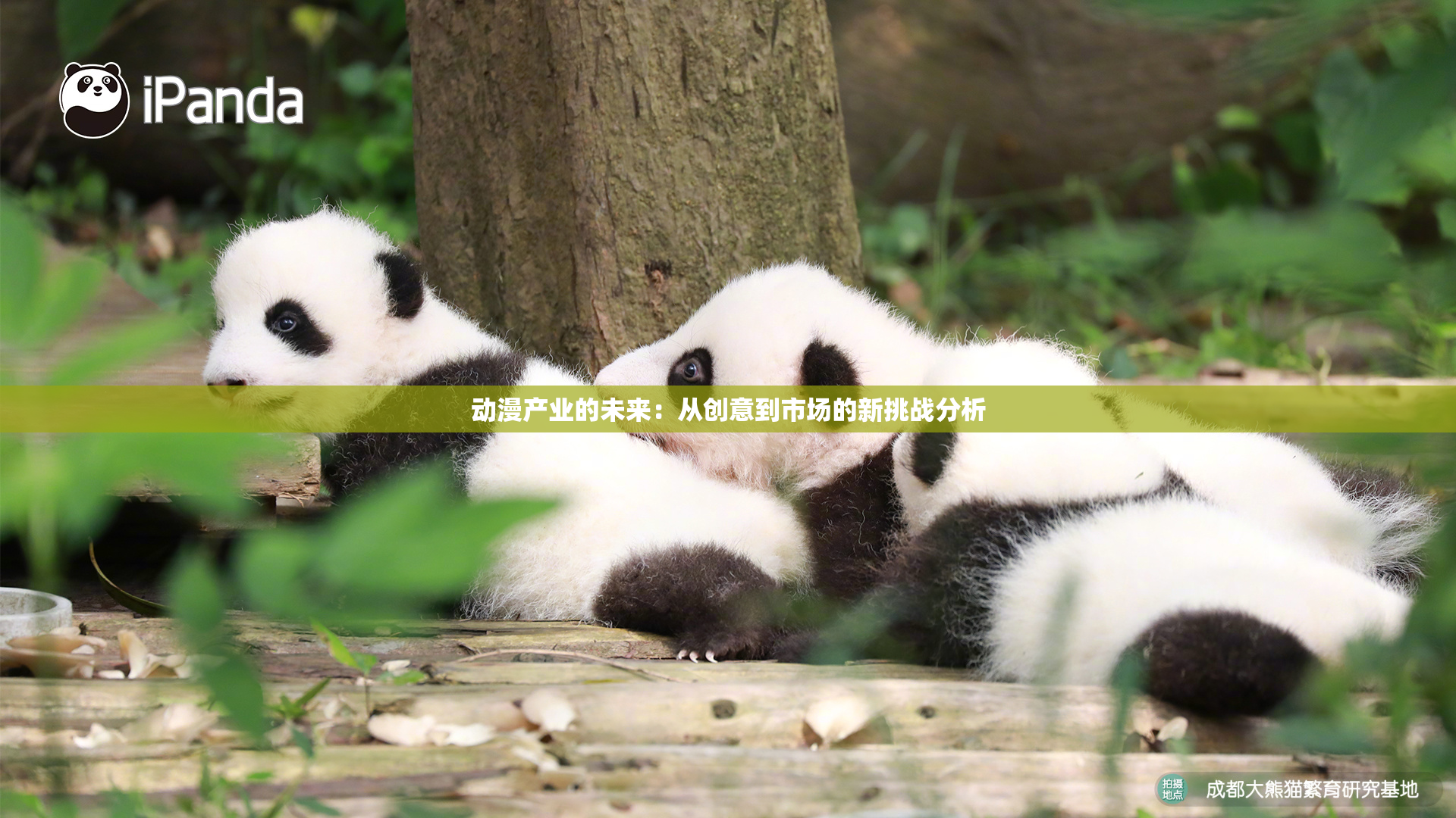 动漫产业的未来：从创意到市场的新挑战分析