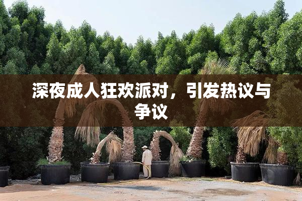 深夜成人狂欢派对，引发热议与争议