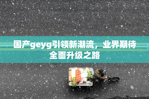 国产geyg引领新潮流，业界期待全面升级之路