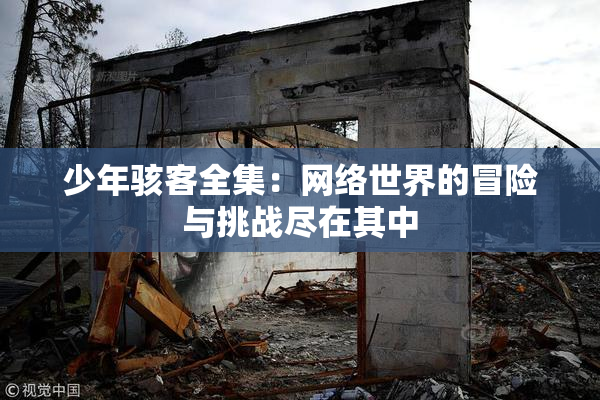 少年骇客全集：网络世界的冒险与挑战尽在其中