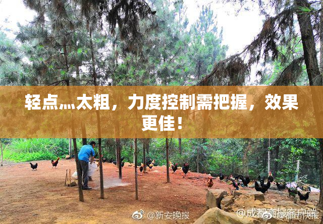 轻点灬太粗，力度控制需把握，效果更佳！
