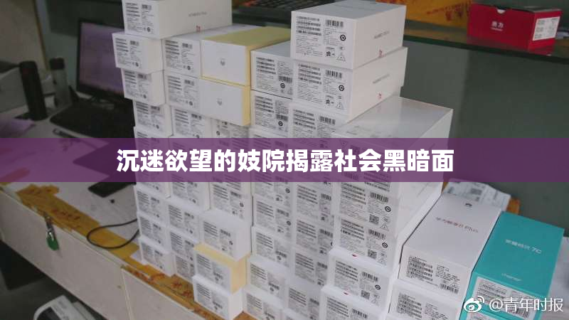 沉迷欲望的妓院揭露社会黑暗面