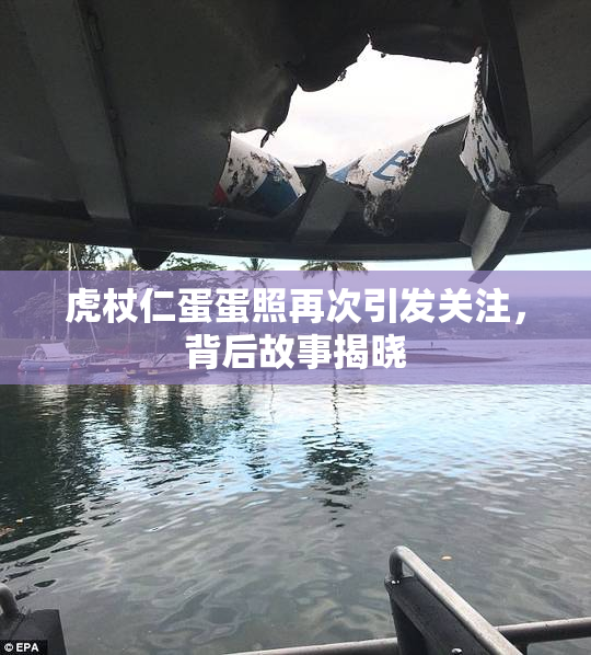 虎杖仁蛋蛋照再次引发关注，背后故事揭晓