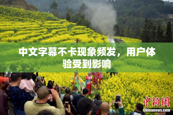 中文字幕不卡现象频发，用户体验受到影响