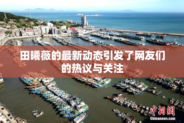 田曦薇的最新动态引发了网友们的热议与关注