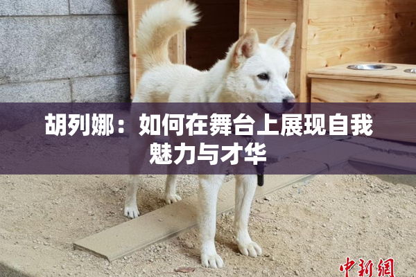胡列娜：如何在舞台上展现自我魅力与才华