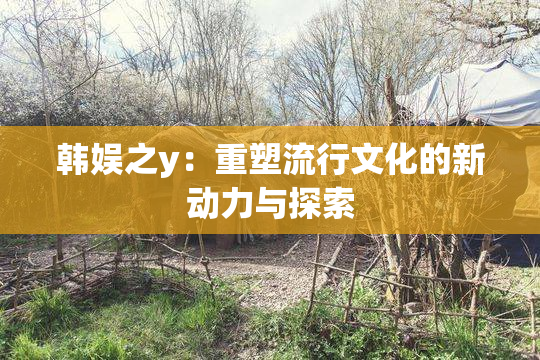 韩娱之y：重塑流行文化的新动力与探索