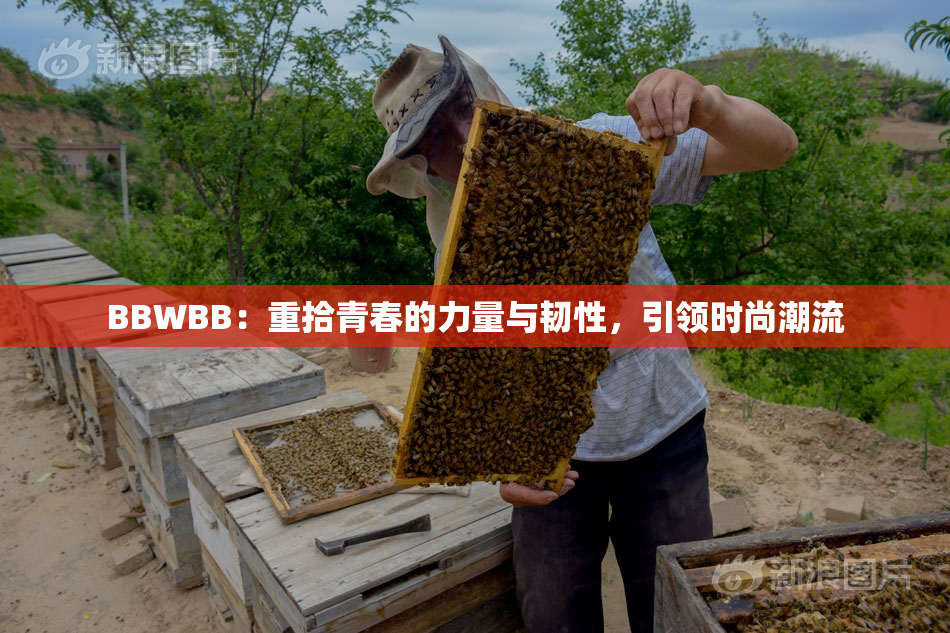 BBWBB：重拾青春的力量与韧性，引领时尚潮流