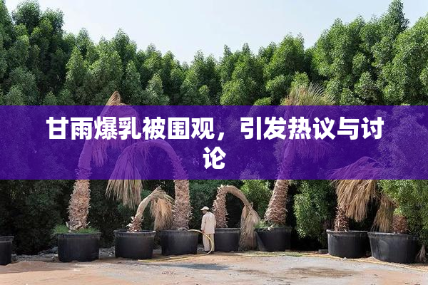 甘雨爆乳被围观，引发热议与讨论
