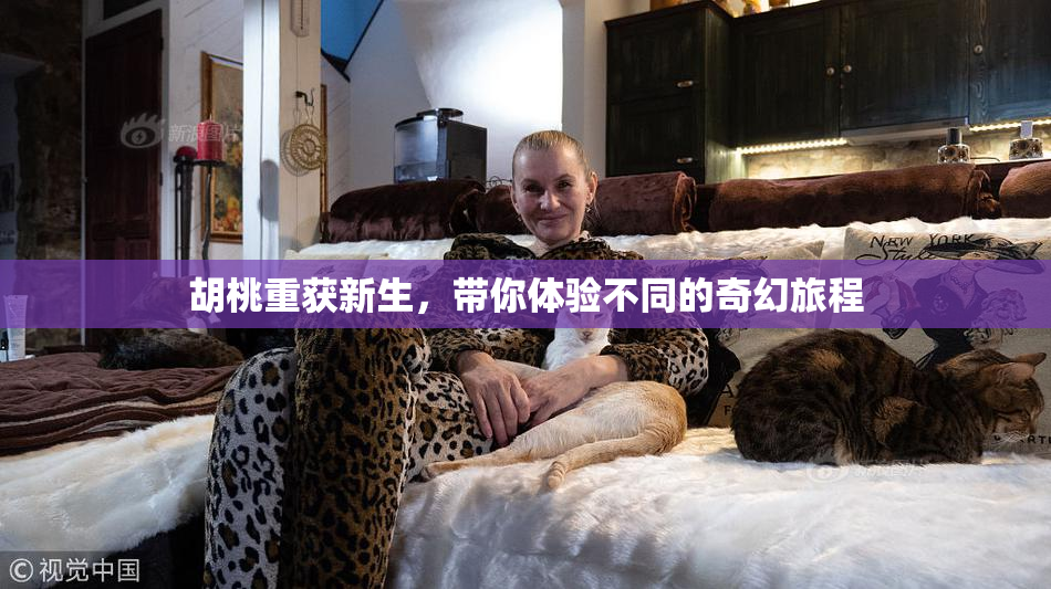 胡桃重获新生，带你体验不同的奇幻旅程