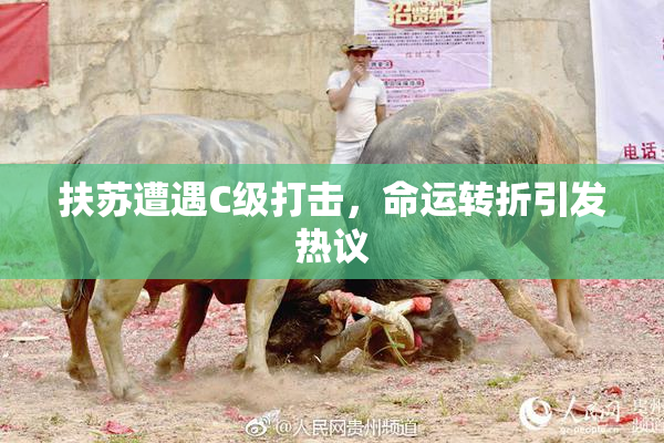 扶苏遭遇C级打击，命运转折引发热议