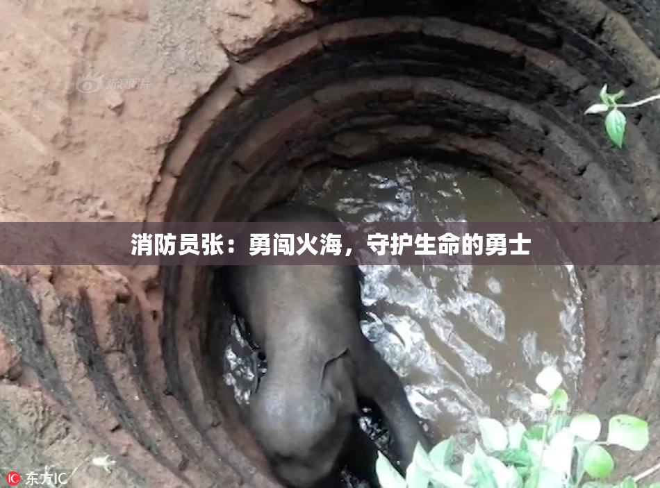 消防员张：勇闯火海，守护生命的勇士