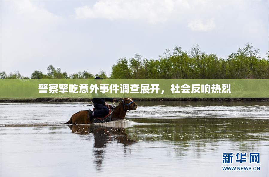 警察擎吃意外事件调查展开，社会反响热烈
