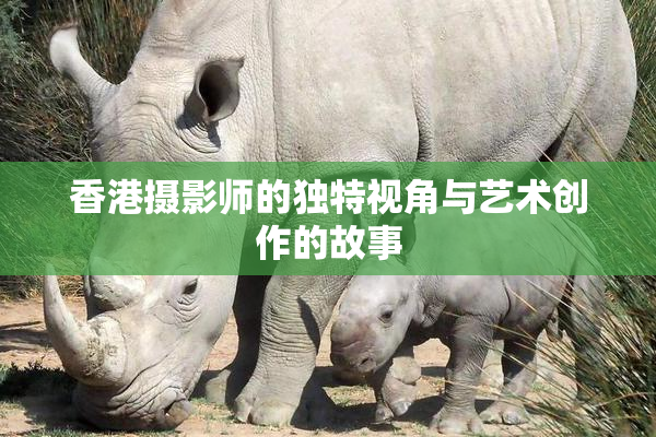 香港摄影师的独特视角与艺术创作的故事