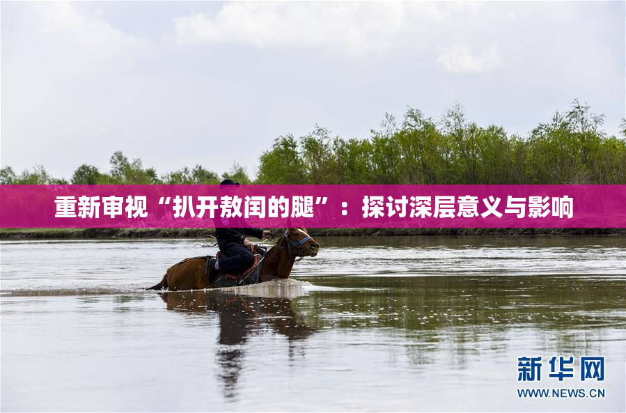 重新审视“扒开敖闰的腿”：探讨深层意义与影响