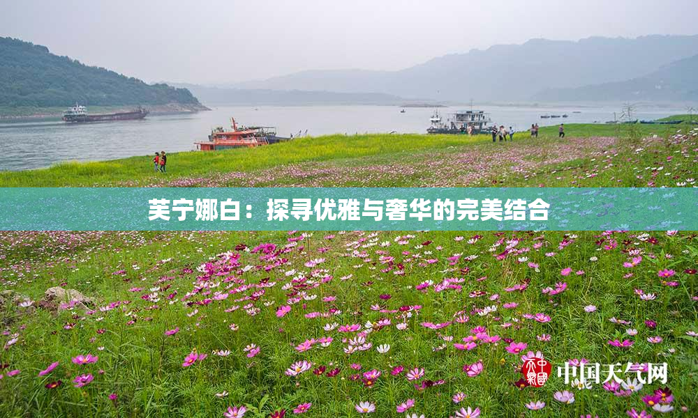 芙宁娜白：探寻优雅与奢华的完美结合