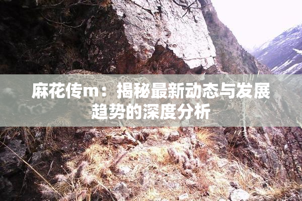 麻花传m：揭秘最新动态与发展趋势的深度分析