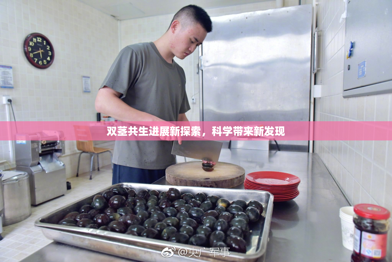 双茎共生进展新探索，科学带来新发现