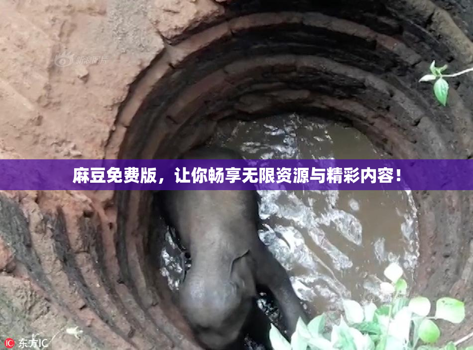 麻豆免费版，让你畅享无限资源与精彩内容！