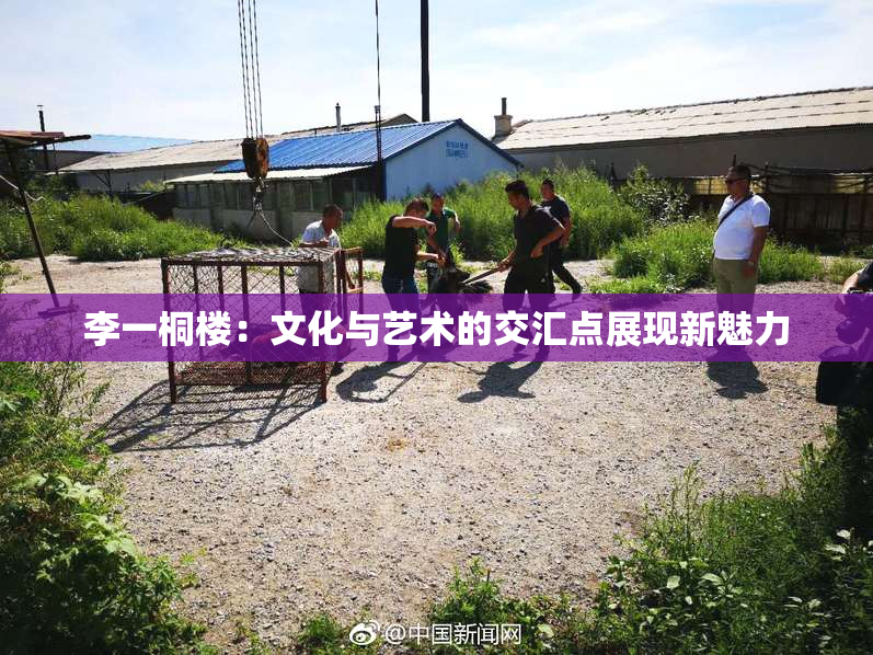 李一桐楼：文化与艺术的交汇点展现新魅力