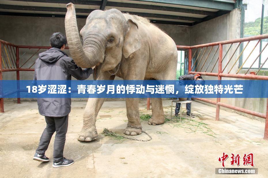 18岁涩涩：青春岁月的悸动与迷惘，绽放独特光芒