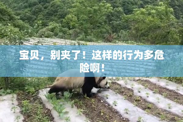 宝贝，别夹了！这样的行为多危险啊！