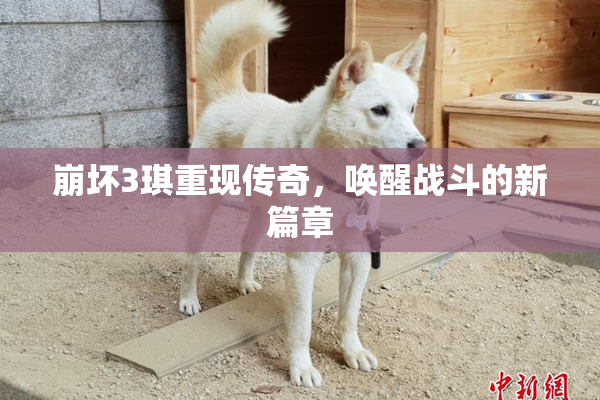 崩坏3琪重现传奇，唤醒战斗的新篇章