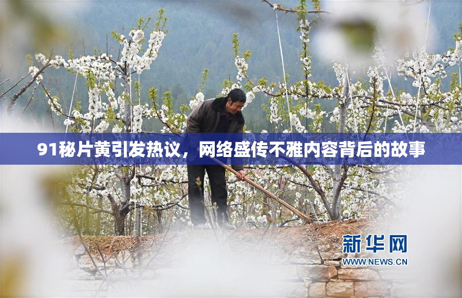 91秘片黄引发热议，网络盛传不雅内容背后的故事