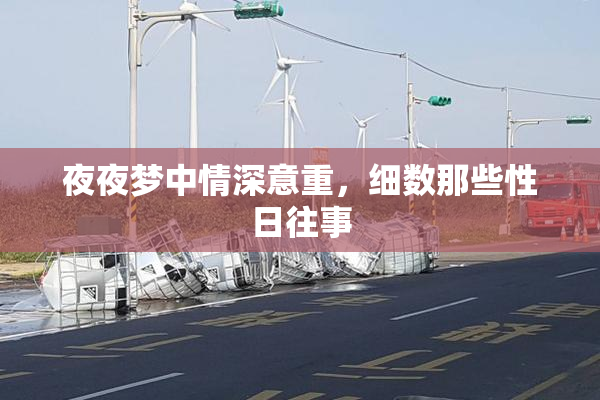 夜夜梦中情深意重，细数那些性日往事