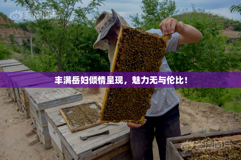 丰满岳妇倾情呈现，魅力无与伦比！